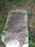 Nace/Julia Withington Bowersox Tombstone 1.JPG